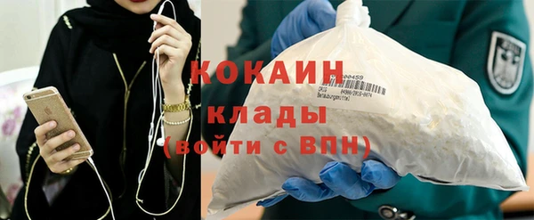 гашик Калининец