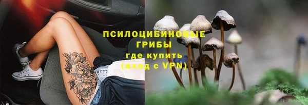 гашик Калининец