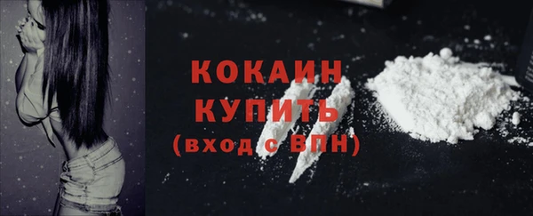 тгк Фёдоровский
