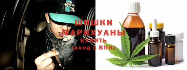гашик Калининец