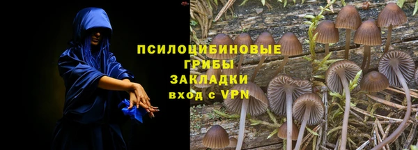 тгк Фёдоровский