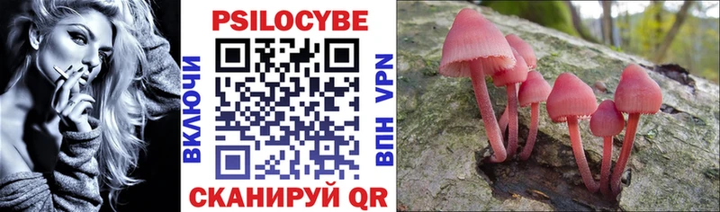 Псилоцибиновые грибы Psilocybe  где продают   Бирюч 